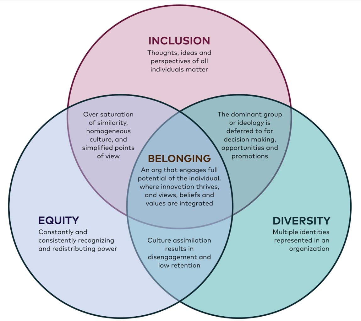 The Meaning Of Diversity And Inclusion In The Workplace Shine